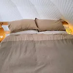 Dome With Pool